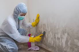 Best Mold Remediation for Healthcare Facilities in Dubois, PA